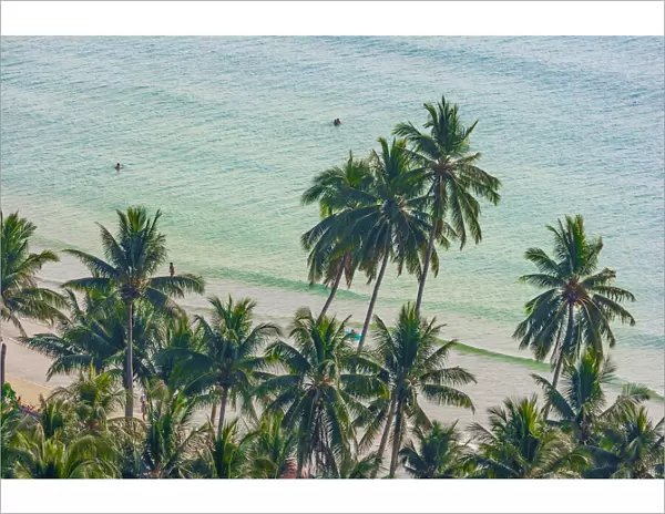Asia, Thailand. Palm trees on Koh Chang, South of Bangkok, in Gulf of Thailand