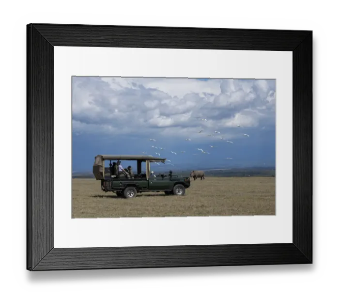 Framed Print : Africa, Kenya, Ol Pejeta Conservancy. Safari jeep with Southern white rhinoceros Framed Print : Africa, Kenya, Ol Pejeta Conservancy. Safari jeep with Southern white rhinoceros