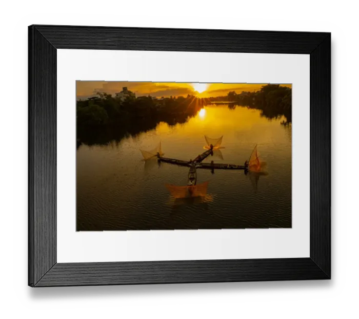 Framed Print : Vietnam. Coordinated lagoon fishing with nets at sunset Framed Print : Vietnam. Coordinated lagoon fishing with nets at sunset
