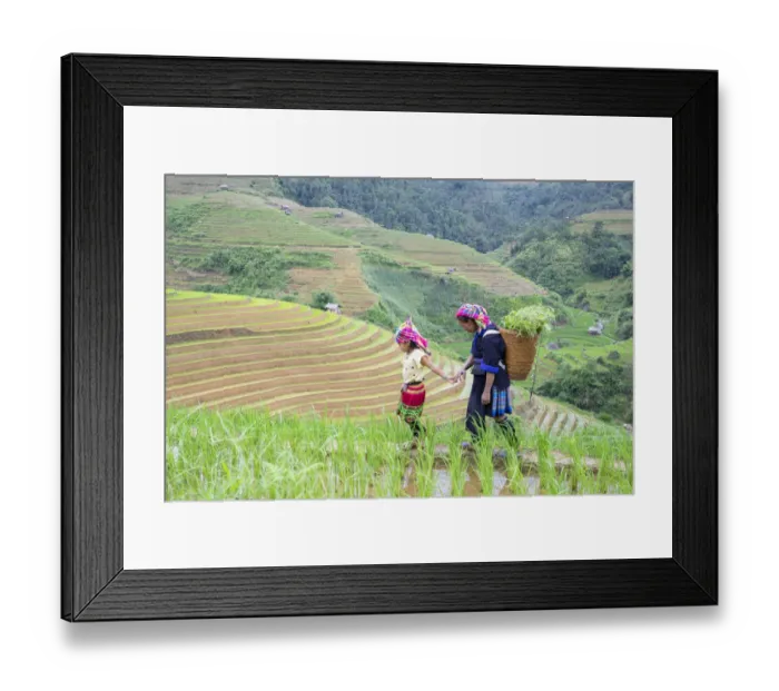 Framed Print : Vietnam. Grandma taking care of granddaughter. Farming community with traditional Sapa Framed Print : Vietnam. Grandma taking care of granddaughter. Farming community with traditional Sapa