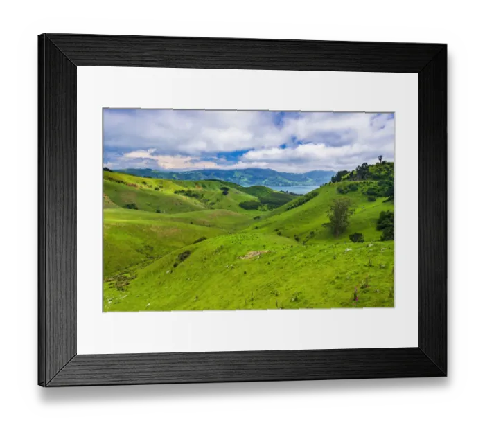 Framed Print : Rolling farmland on the Otago Peninsula, Dunedin, Otago, South Island, New Zealand Framed Print : Rolling farmland on the Otago Peninsula, Dunedin, Otago, South Island, New Zealand