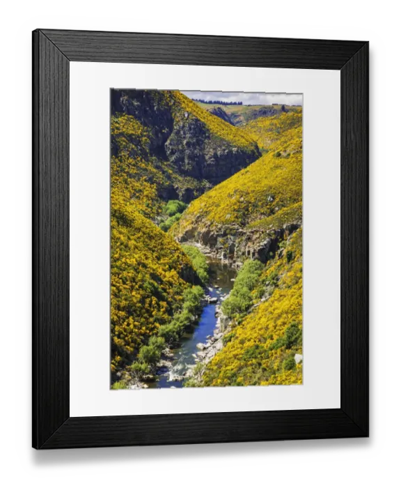 Framed Print : Dunedin Railways tour of the Taieri Gorge, Otago, South Island, New Zealand Framed Print : Dunedin Railways tour of the Taieri Gorge, Otago, South Island, New Zealand