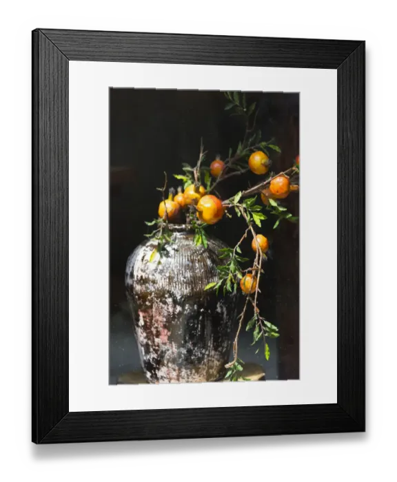 Framed Print : Pomegranate grown from a wine jar, Tangqi Ancient Town, Hangzhou, Zhejiang Province Framed Print : Pomegranate grown from a wine jar, Tangqi Ancient Town, Hangzhou, Zhejiang Province