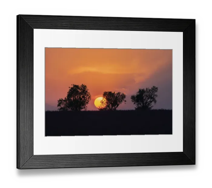 Framed Print : Europe, France, Provence. Sunset and tree silhouettes on Valensole Plateau