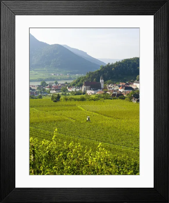 Framed Print : Historic village Spitz located in wine-growing area, UNESCO World Heritage Site Framed Print : Historic village Spitz located in wine-growing area, UNESCO World Heritage Site