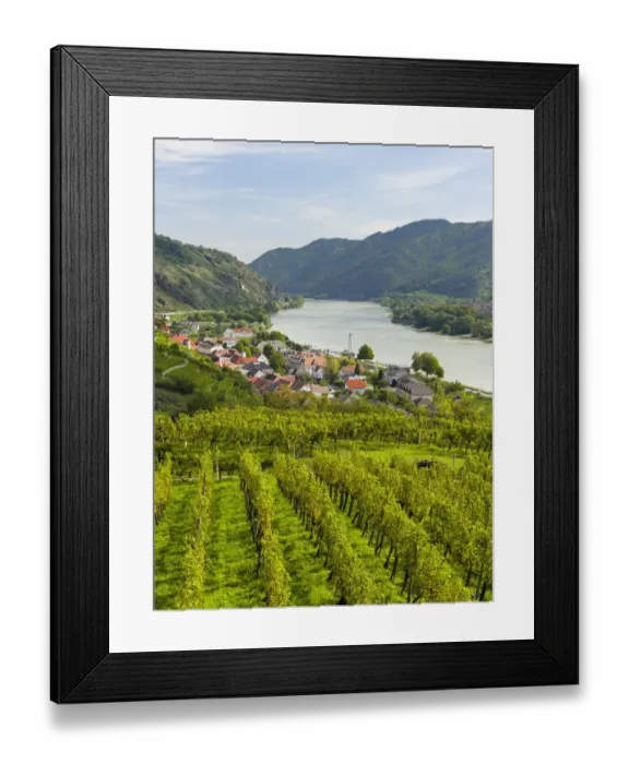 Framed Print : Historic village Spitz located in wine-growing area, UNESCO World Heritage Site