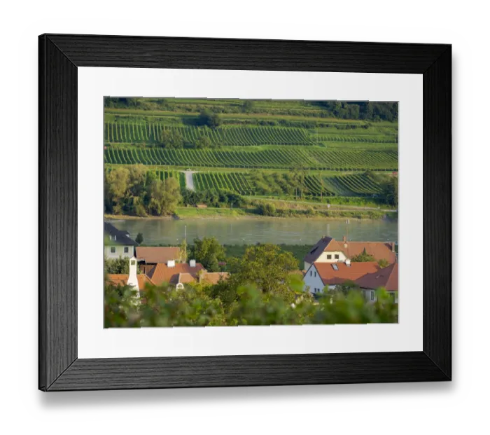Framed Print : View over historic village Spitz towards the vineyards near Hofarnsdorf Framed Print : View over historic village Spitz towards the vineyards near Hofarnsdorf
