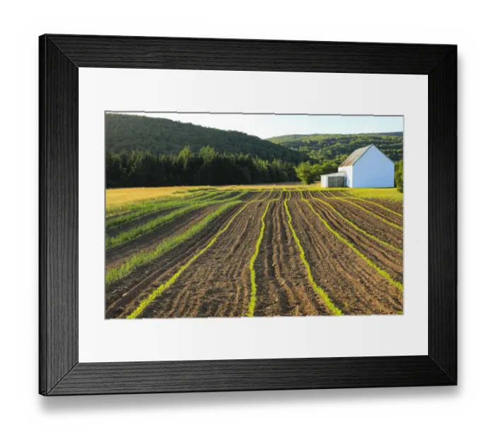 Framed Print : Canada, Nova Scotia, Cape Breton, Miller Farm, Margaree Framed Print : Canada, Nova Scotia, Cape Breton, Miller Farm, Margaree