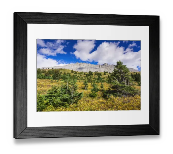 Framed Print : Nigel Peak from Wilcox Ridge, Columbia Icefields, Jasper National Park, Alberta, Canada Framed Print : Nigel Peak from Wilcox Ridge, Columbia Icefields, Jasper National Park, Alberta, Canada