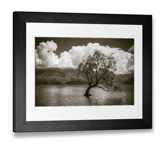 Framed Print : The Wanaka tree, Lake Wanaka, Otago, South Island, New Zealand