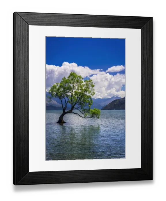 Framed Print : The Wanaka tree, Lake Wanaka, Otago, South Island, New Zealand Framed Print : The Wanaka tree, Lake Wanaka, Otago, South Island, New Zealand