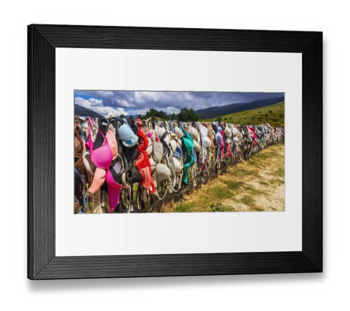 Framed Print : The Cardrona Bra Fence (Bradrona) supporting breast cancer, Otago, South Island Framed Print : The Cardrona Bra Fence (Bradrona) supporting breast cancer, Otago, South Island