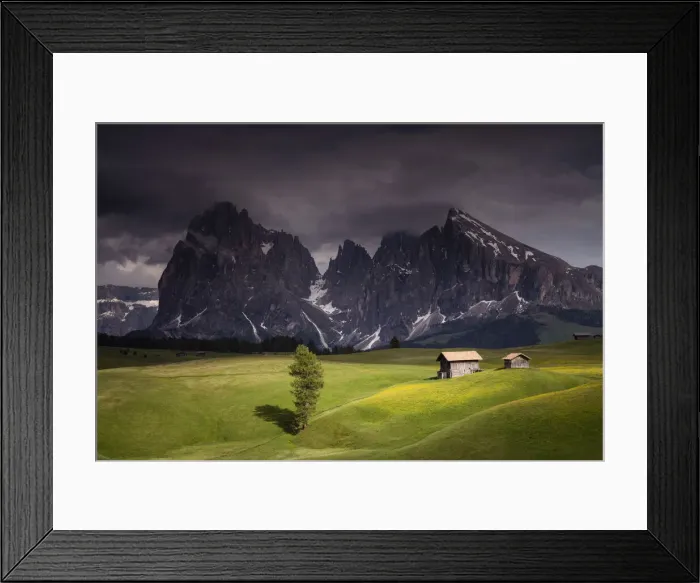 Framed Print : Europe, Italy, South Tirol. Alpine meadows with the Sasso Lungo