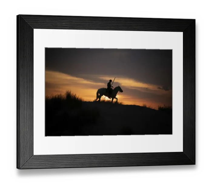 Framed Print : Europe, France, Provence. Camargue horse with rider at sunrise Framed Print : Europe, France, Provence. Camargue horse with rider at sunrise