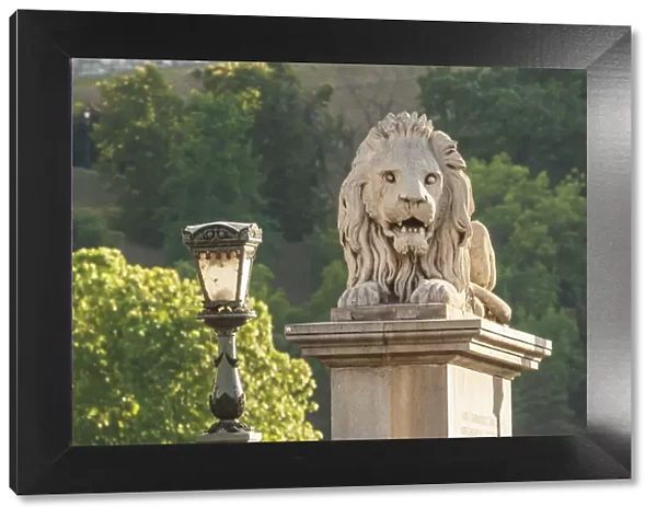 Hungary, Budapest. Lion sculpture on the Szechenyi Chain Bridge