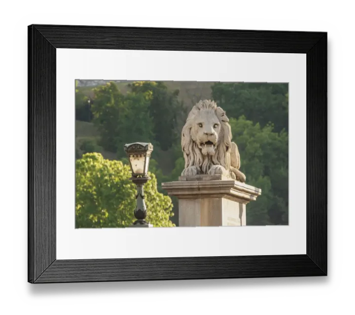 Framed Print : Hungary, Budapest. Lion sculpture on the Szechenyi Chain Bridge
