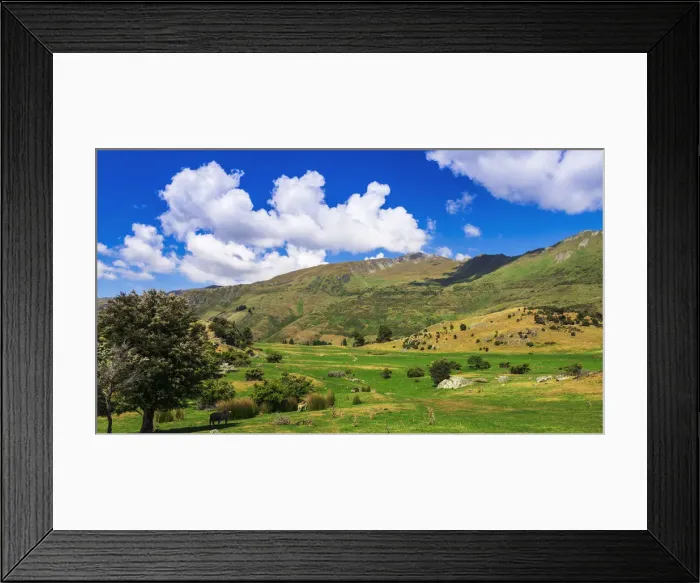 Framed Print : Sheep ranch on the shore of Lake Wanaka, Otago, South Island, New Zealand Framed Print : Sheep ranch on the shore of Lake Wanaka, Otago, South Island, New Zealand