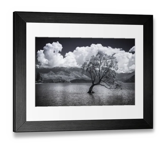 Framed Print : The Wanaka tree, Lake Wanaka, Otago, South Island, New Zealand Framed Print : The Wanaka tree, Lake Wanaka, Otago, South Island, New Zealand