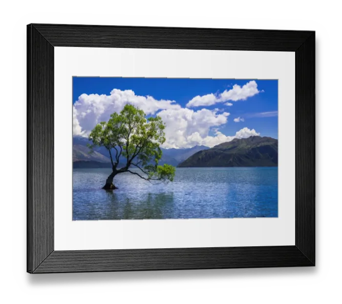 Framed Print : The Wanaka tree, Lake Wanaka, Otago, South Island, New Zealand Framed Print : The Wanaka tree, Lake Wanaka, Otago, South Island, New Zealand