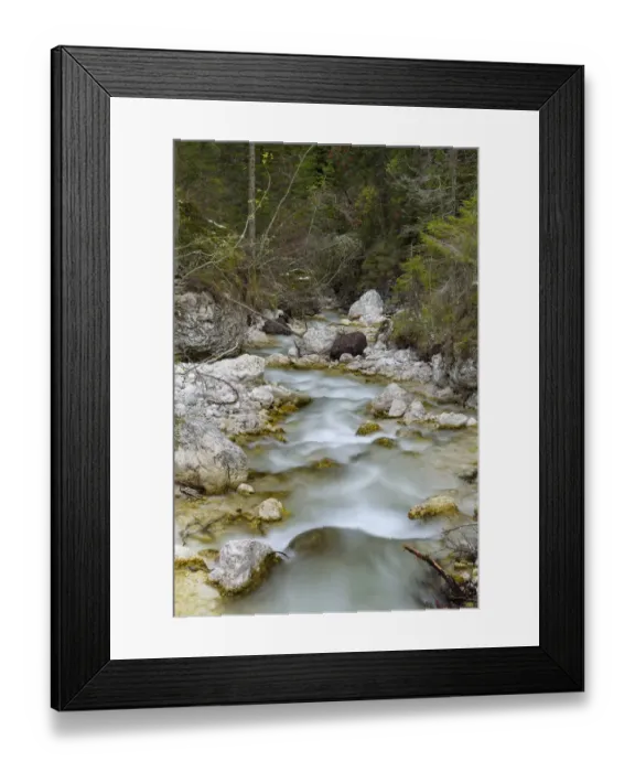 Framed Print : Tschamin Valley, Valle di Ciamin, in the Rosengarten, Catinaccio mountain range Framed Print : Tschamin Valley, Valle di Ciamin, in the Rosengarten, Catinaccio mountain range