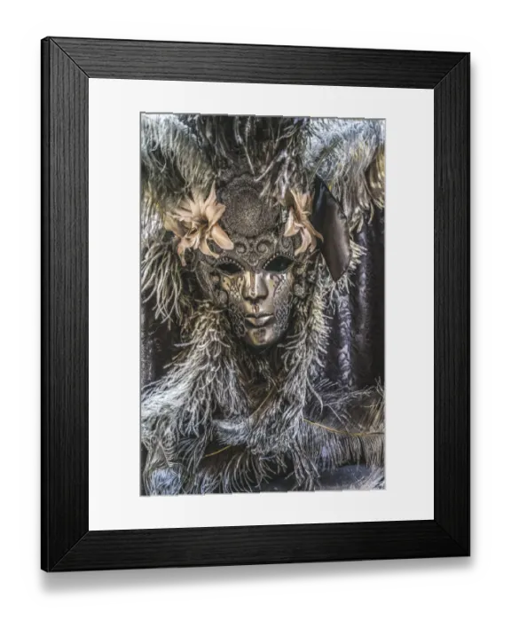 Framed Print : Silver Venetian mask feathers, Venice, Italy. Used since 1200s for Carnival