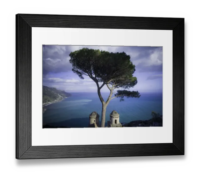 Framed Print : Europe, Italy, Ravello. Cypress tree and church domes overlook ocean