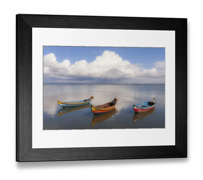 Framed Print : Europe, Portugal, Aveiro Lagoon. Traditional fishing boats moored in water Framed Print : Europe, Portugal, Aveiro Lagoon. Traditional fishing boats moored in water