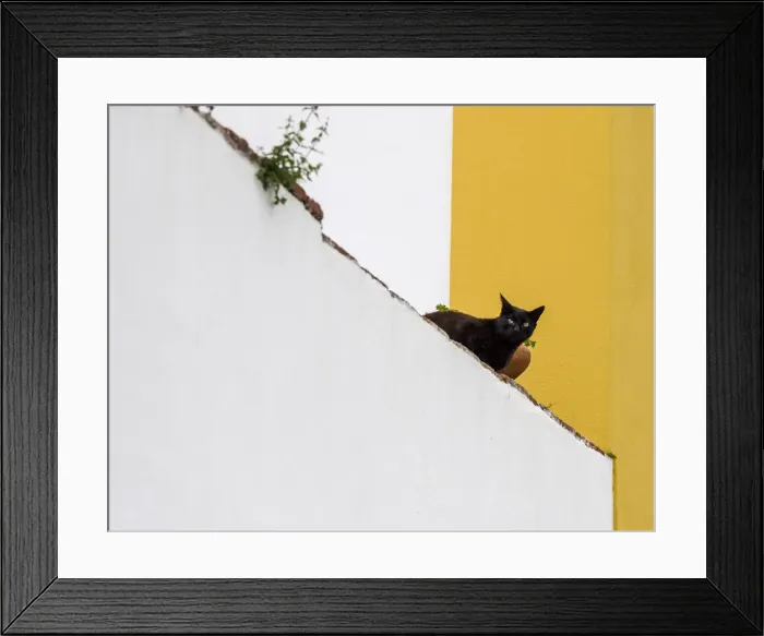 Framed Print : Portugal, Obidos. Black cat sitting on stairs
