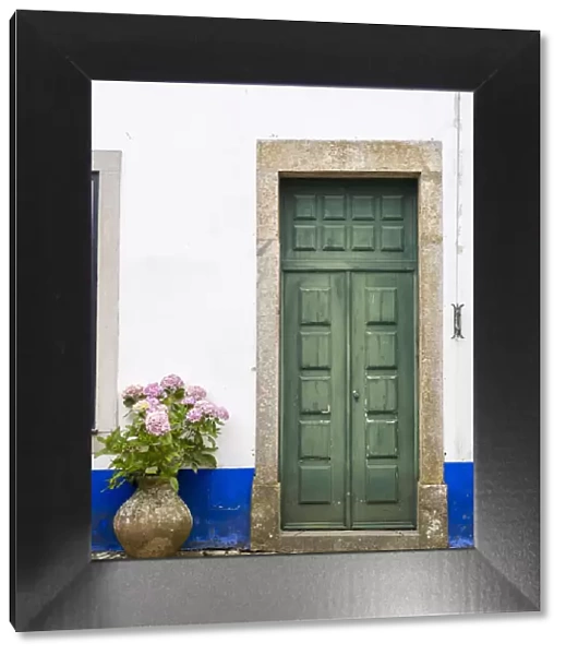 Portugal, Obidos. Pink hydrangea in terracotta pot next to a green door