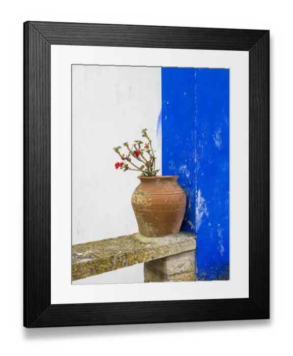 Framed Print : Portugal, Obidos. Plant in a terracotta pot on stone bench