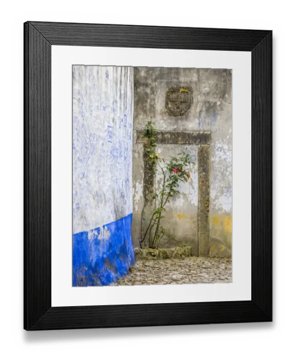 Framed Print : Portugal, Obidos. Red rose growing in a corner of street in Obidos Framed Print : Portugal, Obidos. Red rose growing in a corner of street in Obidos