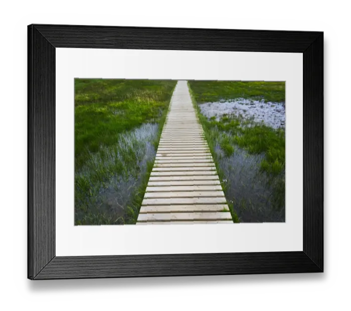 Framed Print : A plank pathway in Landmannalaugar, Iceland Framed Print : A plank pathway in Landmannalaugar, Iceland