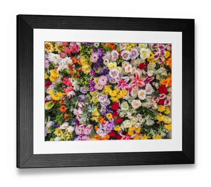 Framed Print : Portugal, Lisbon. The San Antonio wall flowers near the entrance of the Museu de Lisboa Framed Print : Portugal, Lisbon. The San Antonio wall flowers near the entrance of the Museu de Lisboa