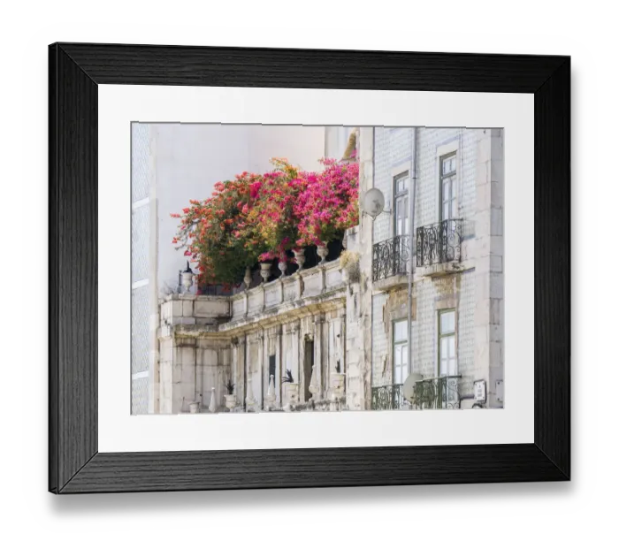 Framed Print : Portugal, Lisbon. Colorful Bougainvillea trailing over balcony of white building Framed Print : Portugal, Lisbon. Colorful Bougainvillea trailing over balcony of white building