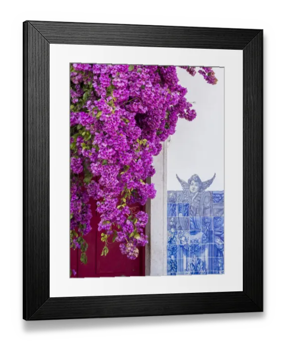 Framed Print : Portugal, Lisbon. Pink flowers of Bougainvillea plant and historical building next to Framed Print : Portugal, Lisbon. Pink flowers of Bougainvillea plant and historical building next to
