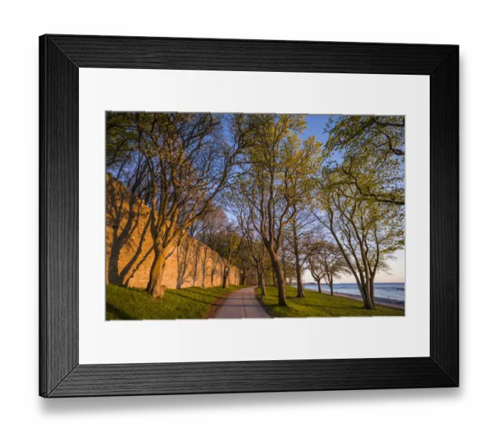 Framed Print : Sweden, Gotland Island, Visby, 12th century city wall, most complete medieval city wall Framed Print : Sweden, Gotland Island, Visby, 12th century city wall, most complete medieval city wall
