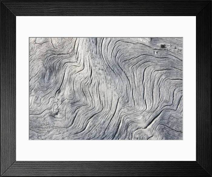 Framed Print : Drift wood pattern, Cape Onman, Chukchi Sea, Russia Far East Framed Print : Drift wood pattern, Cape Onman, Chukchi Sea, Russia Far East