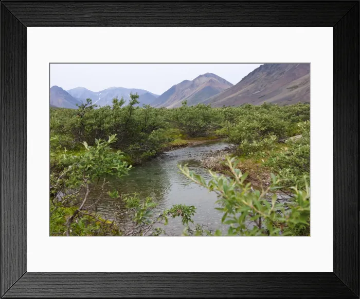 Framed Print : Glacier river, Yttygran Island, Bering Sea, Russia Far East