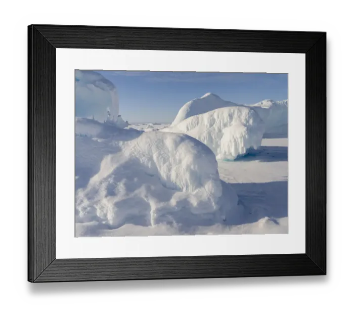 Framed Print : Icebergs frozen into the sea ice of the Uummannaq fjord system during winter Framed Print : Icebergs frozen into the sea ice of the Uummannaq fjord system during winter