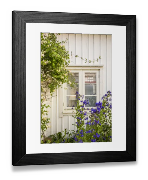 Framed Print : Sweden, Bohuslan, Smogen, house detail Framed Print : Sweden, Bohuslan, Smogen, house detail