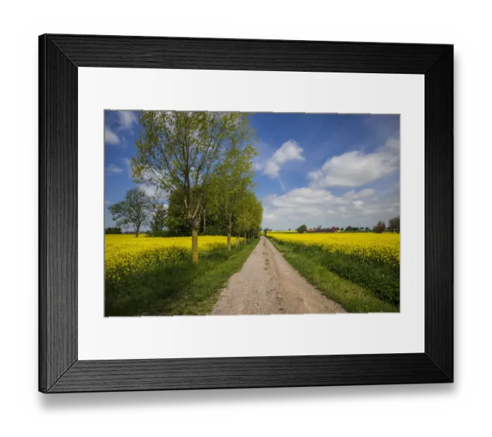 Framed Print : Southern Sweden, Boste lage, country road with yellow flowers, springtime Framed Print : Southern Sweden, Boste lage, country road with yellow flowers, springtime