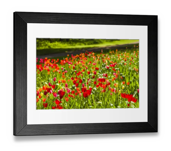 Framed Print : Sweden, Oland Island, Borgholm, Solliden Slott palace, Swedish Royal Family summer palace Framed Print : Sweden, Oland Island, Borgholm, Solliden Slott palace, Swedish Royal Family summer palace