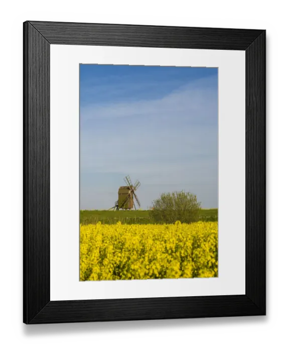 Framed Print : Sweden, Oland Island, Lerkaka, antique wooden windmills Framed Print : Sweden, Oland Island, Lerkaka, antique wooden windmills