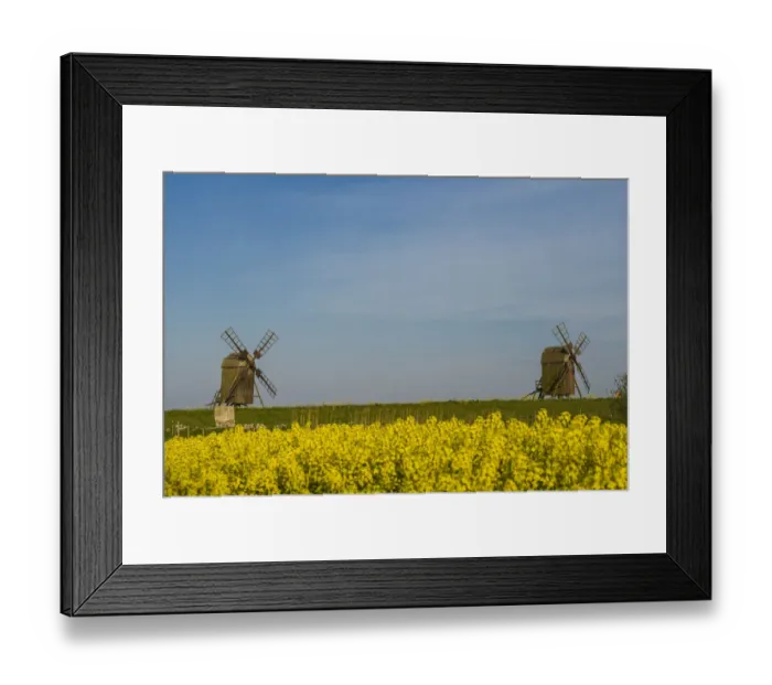 Framed Print : Sweden, Oland Island, Lerkaka, antique wooden windmills Framed Print : Sweden, Oland Island, Lerkaka, antique wooden windmills