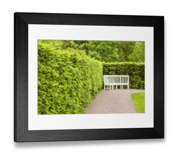 Framed Print : Sweden, Scania, Molle, Krapperups Slott castle, ancient home of the Gyllenstierna family Framed Print : Sweden, Scania, Molle, Krapperups Slott castle, ancient home of the Gyllenstierna family