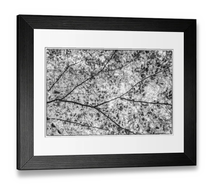 Framed Print : Sweden, Scania, Molle, Krapperups Slott castle, ancient home of the Gyllenstierna family