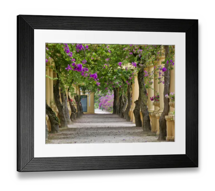 Framed Print : Portugal, Aveiro. Parque Dom Pedro Infante in Aveiro. Stone balustrade with pergola Framed Print : Portugal, Aveiro. Parque Dom Pedro Infante in Aveiro. Stone balustrade with pergola