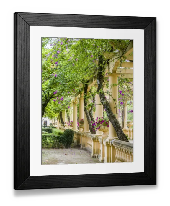 Framed Print : Portugal, Aveiro. Parque Dom Pedro Infante in Aveiro. Stone balustrade with pergola Framed Print : Portugal, Aveiro. Parque Dom Pedro Infante in Aveiro. Stone balustrade with pergola