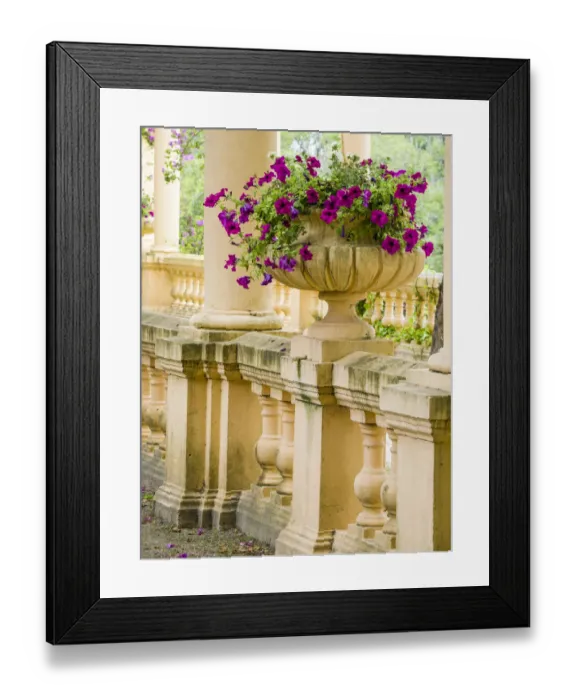 Framed Print : Portugal, Aveiro. Parque Dom Pedro Infante in Aveiro. Stone balustrade with pergola Framed Print : Portugal, Aveiro. Parque Dom Pedro Infante in Aveiro. Stone balustrade with pergola