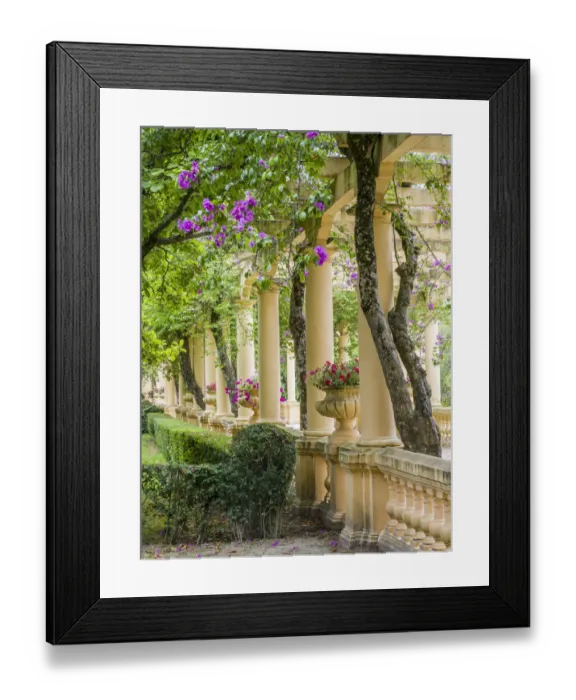 Framed Print : Portugal, Aveiro. Parque Dom Pedro Infante in Aveiro. Stone balustrade with pergola Framed Print : Portugal, Aveiro. Parque Dom Pedro Infante in Aveiro. Stone balustrade with pergola